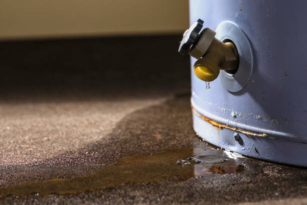 Best Flooded house restoration  in Adrian, MN