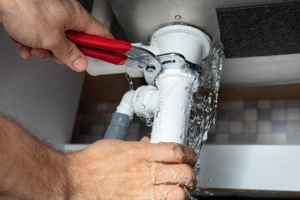 Best Flood damage cleanup  in Adrian, MN