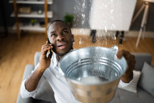 Best Water damage restoration experts  in Adrian, MN