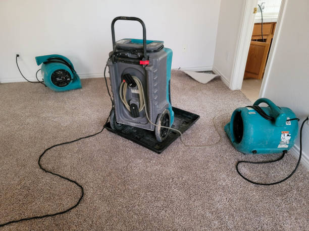 Best Emergency water damage restoration  in Adrian, MN