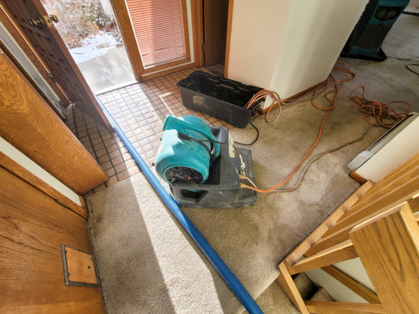  Adrian, MN Water damage restoration Pros