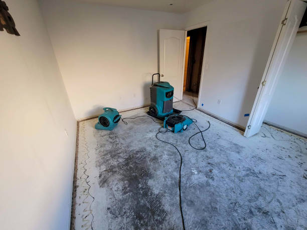 Best 24/7 water damage repair  in Adrian, MN