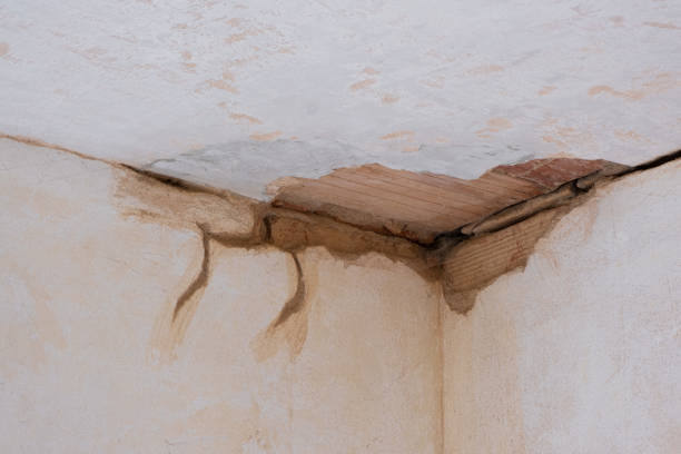 Best Flooded house restoration  in Adrian, MN