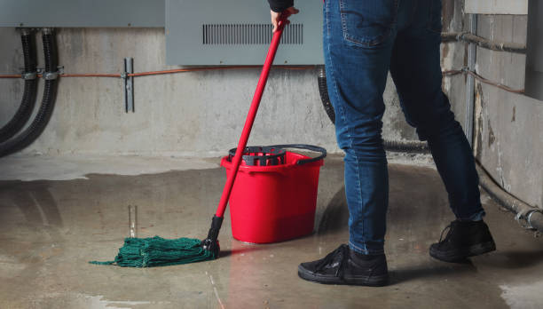 Professional Water damage restoration in Adrian, MN