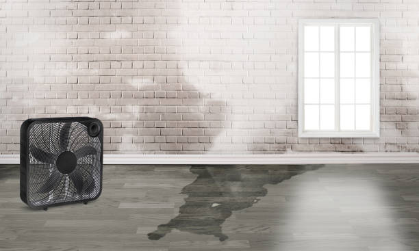 Water damage restoration insurance claims in Adrian, MN