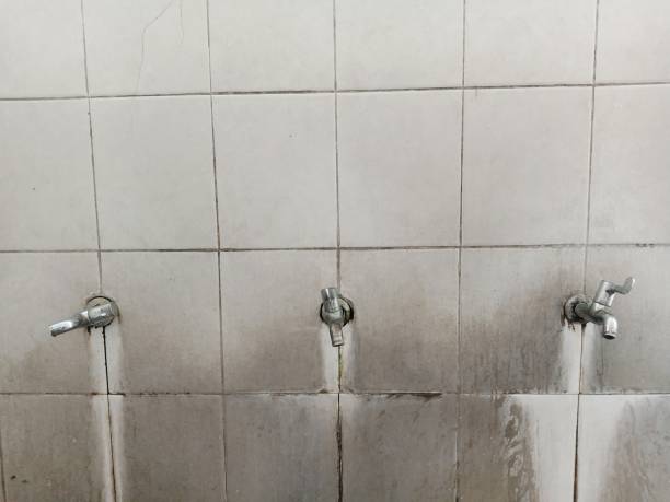 Best Water damage restoration near me  in Adrian, MN