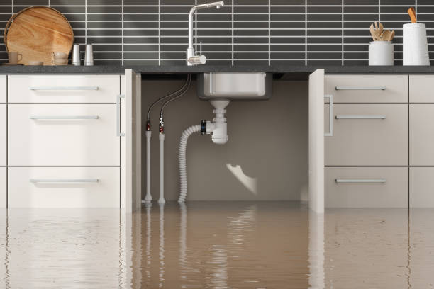 Best Residential water damage restoration  in Adrian, MN
