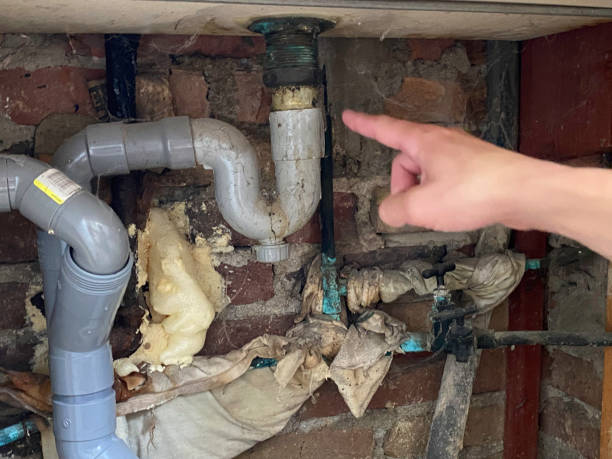Best Carpet water damage restoration  in Adrian, MN