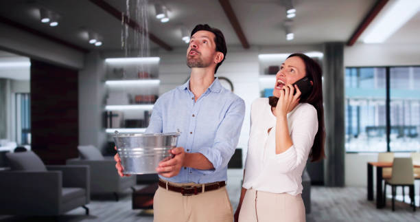 Best Sewage cleanup and water damage restoration  in Adrian, MN